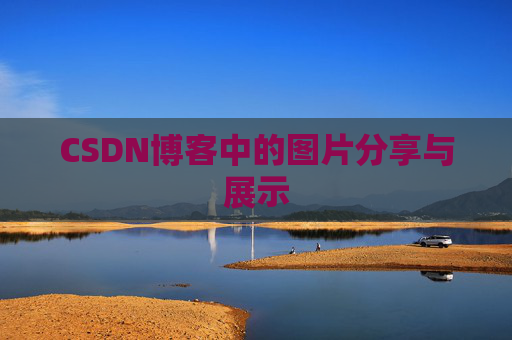 CSDN博客中的图片分享与展示